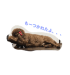 みやたけトイプー（個別スタンプ：4）