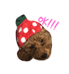 みやたけトイプー（個別スタンプ：6）