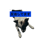 海人の日常（個別スタンプ：2）