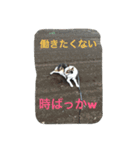 海人の日常（個別スタンプ：5）