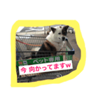 海人の日常（個別スタンプ：7）