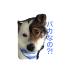 海人の日常（個別スタンプ：8）