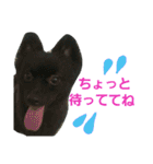 GARO ＆ THICO（個別スタンプ：3）
