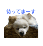GARO ＆ THICO（個別スタンプ：9）