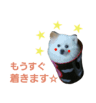 GARO ＆ THICO（個別スタンプ：15）