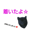 GARO ＆ THICO（個別スタンプ：16）