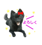 GARO ＆ THICO（個別スタンプ：18）