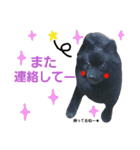 GARO ＆ THICO（個別スタンプ：23）