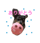 もなと仲間たち（個別スタンプ：2）