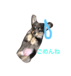 もなと仲間たち（個別スタンプ：5）
