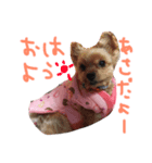 もなと仲間たち（個別スタンプ：6）