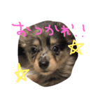 もなと仲間たち（個別スタンプ：8）