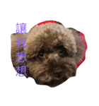 Nana, baby（個別スタンプ：6）