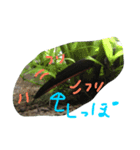 お腹の赤いイモリさん（個別スタンプ：7）