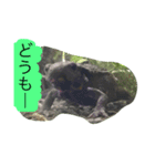 お腹の赤いイモリさん（個別スタンプ：10）