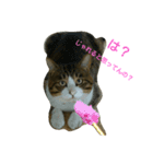 ナツ男（個別スタンプ：2）