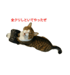 ナツ男（個別スタンプ：4）