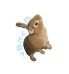 キャロちゃん 1（個別スタンプ：7）