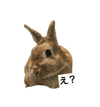 キャロちゃん 1（個別スタンプ：8）
