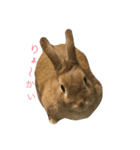 キャロちゃん 1（個別スタンプ：13）