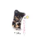 モカたんプ（個別スタンプ：9）
