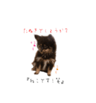 モカたんプ（個別スタンプ：11）