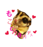フクロモモンガのもこちゃん（個別スタンプ：26）