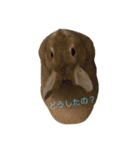 うさぎのキャロル（2）（個別スタンプ：4）