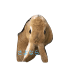 うさぎのキャロル（2）（個別スタンプ：13）