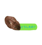 うさぎのキャロル（個別スタンプ：8）