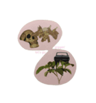 mojart A（個別スタンプ：7）