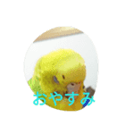 めろん2（個別スタンプ：15）