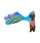 totonondog（個別スタンプ：1）