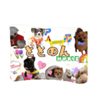 totonondog（個別スタンプ：2）
