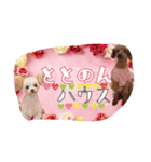 totonondog（個別スタンプ：4）