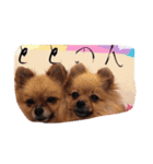totonondog（個別スタンプ：7）