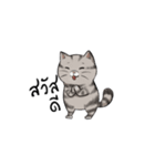 Super lazy cat with love, cute and fun.（個別スタンプ：1）
