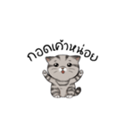 Super lazy cat with love, cute and fun.（個別スタンプ：3）