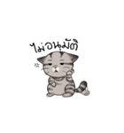 Super lazy cat with love, cute and fun.（個別スタンプ：5）