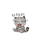 Super lazy cat with love, cute and fun.（個別スタンプ：6）
