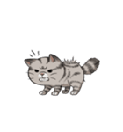 Super lazy cat with love, cute and fun.（個別スタンプ：7）