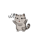 Super lazy cat with love, cute and fun.（個別スタンプ：8）