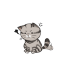 Super lazy cat with love, cute and fun.（個別スタンプ：12）