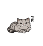 Super lazy cat with love, cute and fun.（個別スタンプ：19）