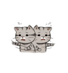 Super lazy cat with love, cute and fun.（個別スタンプ：21）