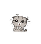 Super lazy cat with love, cute and fun.（個別スタンプ：22）