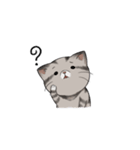 Super lazy cat with love, cute and fun.（個別スタンプ：30）