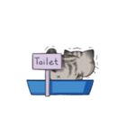 Super lazy cat with love, cute and fun.（個別スタンプ：35）
