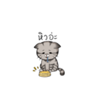Super lazy cat with love, cute and fun.（個別スタンプ：37）