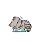 Super lazy cat with love, cute and fun.（個別スタンプ：38）